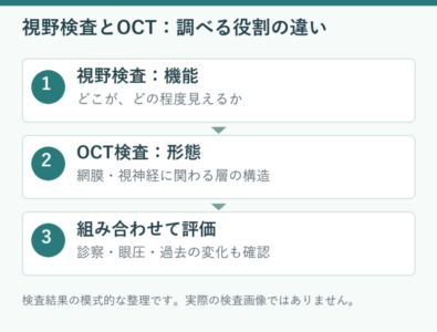 視野検査とOCT検査は何が違う?|緑内障の検査で調べることのアイキャッチ画像