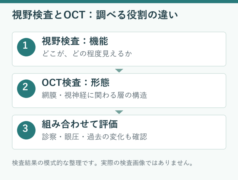 視野検査とOCT：調べる役割の違い。視野検査：機能：どこが、どの程度見えるか。OCT検査：形態：網膜・視神経に関わる層の構造。組み合わせて評価：診察・眼圧・過去の変化も確認。検査結果の模式的な整理です。実際の検査画像ではありません。